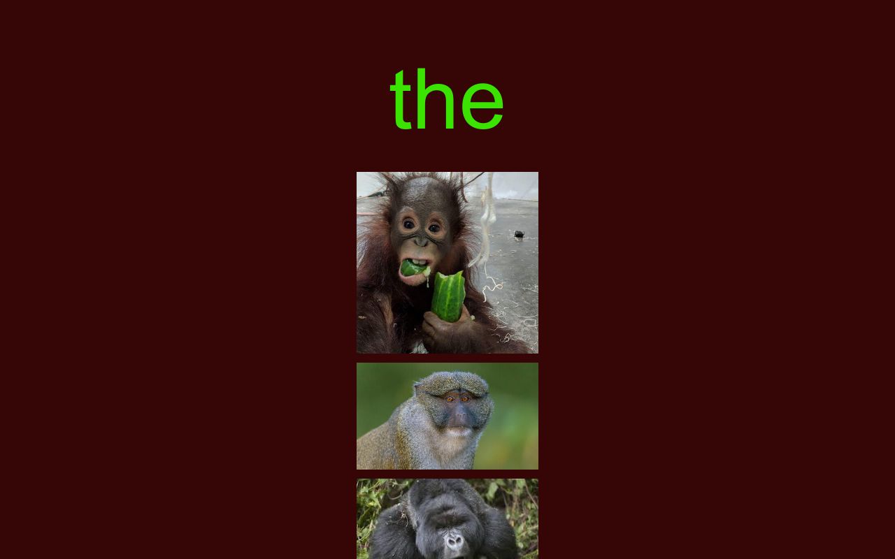 Carrd profile picture for @primates